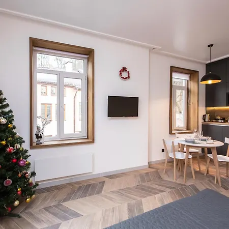 Apartment High Castle Park View Lemberg